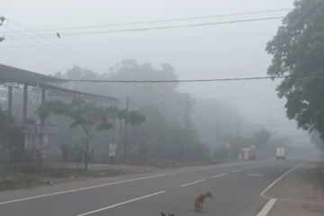 நுவரெலியாவாக மாறிய கிளிநொச்சி ; சாரதிகளுக்கு முக்கிய தகவல்