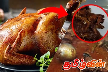 கோழி இறைச்சியில் புழுக்கள்! கொழும்பு உணவு விடுதியொன்றின் மோசமான செயல்