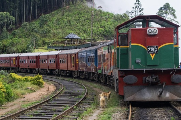 இன்று 22 மலையக ரயில் சேவைகள் இரத்து | 22 Upland Train Services Cancelled Today Srilanka