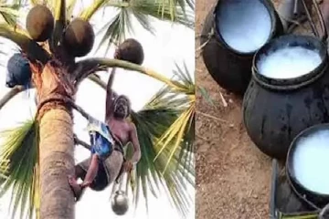 தமிழகத்தில் கள் இறக்க தடை நீக்கம்? அமைச்சர் விளக்கம்!