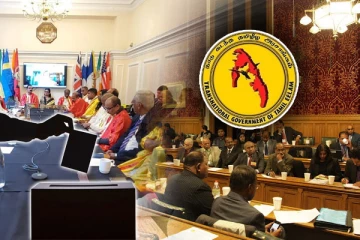 நாடுகடந்த தமிழீழ அரசாங்கத்தின் தேர்தல் தீர்ப்பாயம்