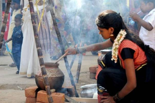 இந்த நேரத்தில் பொங்கலை வையுங்கள்: மகிழ்ச்சியும் செல்வமும் வந்து சேரும்! | Thai Pongal Festival Brings Happiness And Wealth