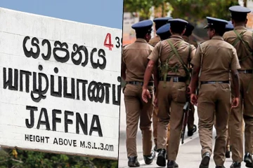 மரத்தில் ஏறியவர் தவறி விழுந்து உயிரிழப்பு!