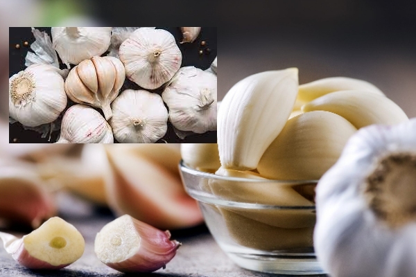 உயர் இரத்த அழுத்தத்தை குறைக்கும் பூண்டு ; இத்தனை நன்மைகள் இருக்கா! | Garlic That Helps Reduce High Blood Pressure உயர் இரத்த அழுத்தத்தை குறைக்கும் பூண்டு ; இத்தனை நன்மைகள் இருக்கா! | Garlic That Helps Reduce High Blood Pressure