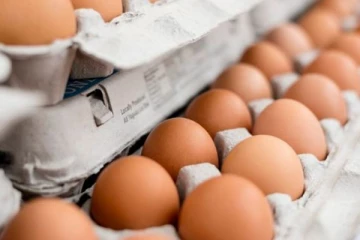 முட்டையின் விலை மேலும் பல ரூபாவினால் அதிகரிக்கும் அபாயம்