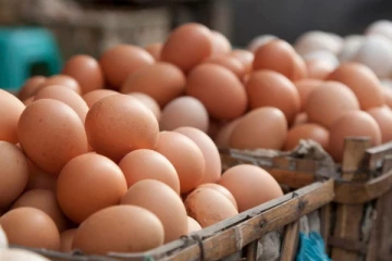 முட்டையின் விலை குறையும் சாத்தியம்