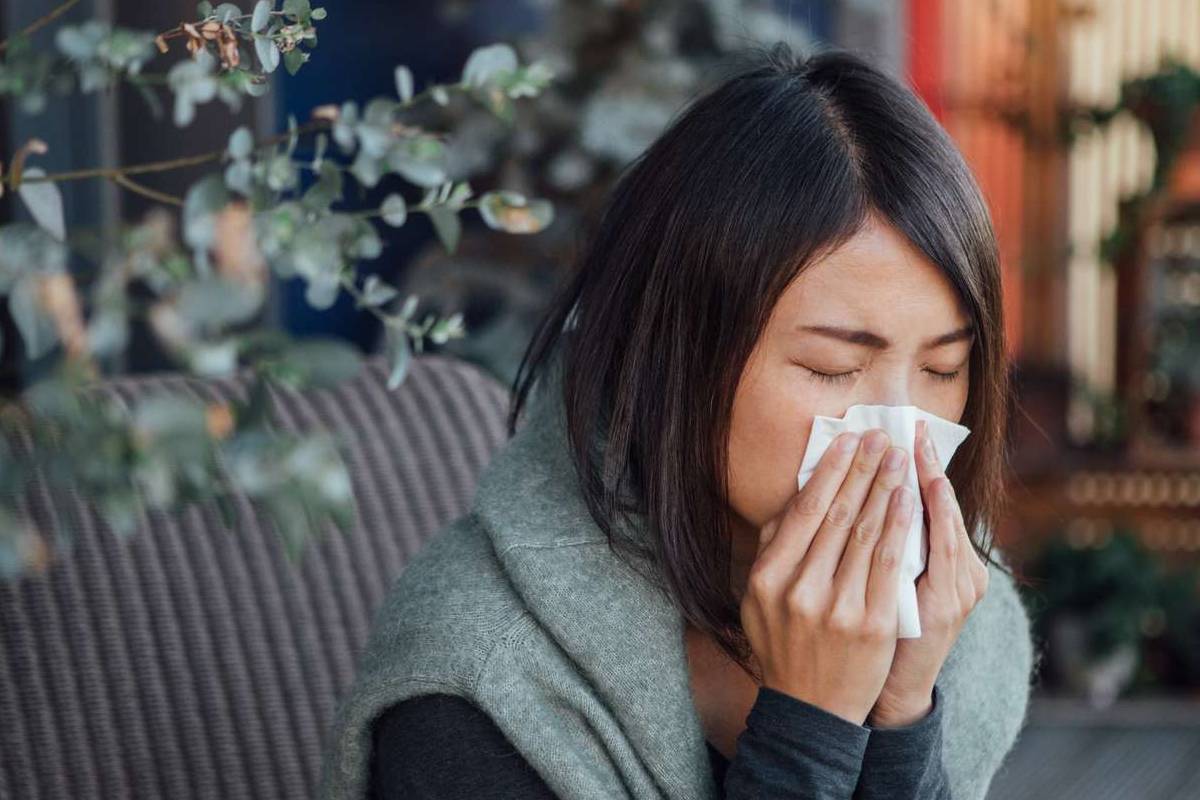 இலங்கையில் இன்ஃபுளுவென்ஸா நோய்த்தொற்று அதிகரிப்பு | Influenza Epidemiologist Sri Lanka Health Disease