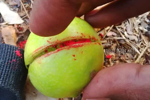 சாமியாரின் லீலை.... அலறி துடித்த மகள்! ஒரே ஒரு எலுமிச்சம் பழத்தால் கப்பலேறிய மானம் | Fake Poojai India Lemon Poojai Money