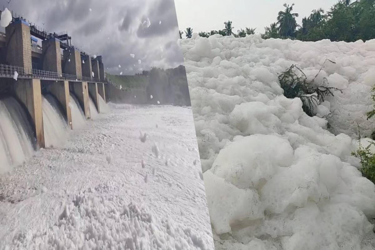 தென்பெண்ணை ஆற்றில் நச்சு நுரை விவகாரம் - இரு மாநில அரசுகளுக்கு தேசிய பசுமை தீர்ப்பாயம் முக்கிய உத்தரவு | Thenpennai River Pollution Orders Two States