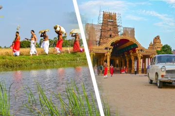 தைப்பூச தினத்தை முன்னிட்டு நல்லூர் கந்தனின் நெற்புதிர் அறுவடை நிகழ்வு