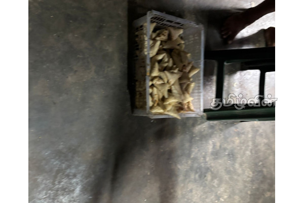 மன்னாரில் உணவகங்கள் மீது சட்ட நடவடிக்கை | Legal Action Against Restaurants In Mannar