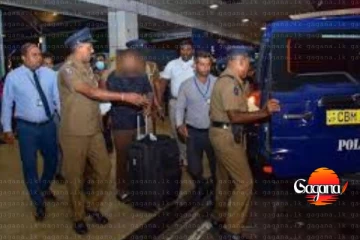 අපරාධ රැසක් මෙහෙය වූ කෙසෙල්වත්ත දිනූෂට දින 90 ක රැඳවුම් නියෝග