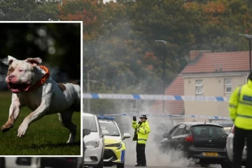 பிரித்தானியாவில் நாய் தாக்கி மேலும் ஒருவர் உயிரிழப்பு: சம்பவ இடத்தில் பொலிஸார் எடுத்த உடனடி முடிவு
