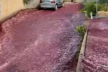 தெருக்களில் வழிந்தோடிய ஒயின்