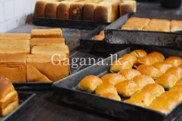 පිටි මිල අඩුවීමත් සමඟ පාන් මිල ගැන බේකරි හිමියන් ගත් තීරණය.