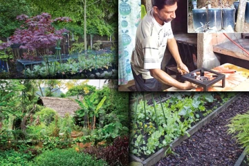 இலங்கையில் கழிவுகளிலிருந்து எரிவாயு: சாதனை படைத்த இளைஞன்