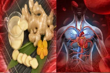 உணவில் அதிகமா இஞ்சி சேர்ப்பவரா நீங்க? அப்போ இந்த ஆபத்து நிச்சயம்