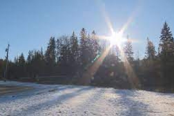 கனடாவில் வழமைக்கு மாறான கிறிஸ்மஸ் வானிலை | Canadas Foggy Green Christmas Day