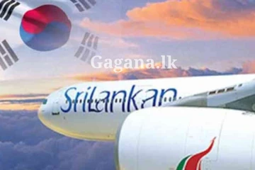 හැමෝම යන්න බලන් ඉන්න දකුණු කොරියාවේ රැකියාවක් ගැනයි මේ පණිවිඩය..