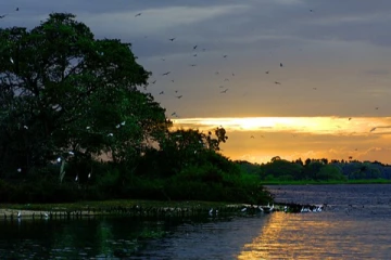 வனவிலங்கு சரணாலயத்தை பகிர்ந்தளிக்க அரசு தீர்மானம்