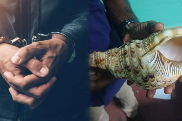 கிண்ணியாவில் வலம்புரிச் சங்குடன் குடும்பஸ்தர் கைது