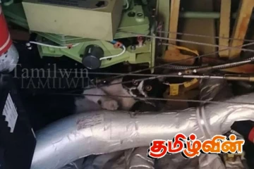 விமானத்துக்குள் பதுங்கியிருந்த பூனை: இரண்டு நாட்கள் தாமதமான பயணிகள்