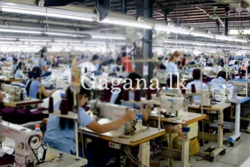 මෙරට ශ්‍රම බලකායේ ලක්ෂ 05ක් පාරට ඇද වැටෙයි. - හේතුව මෙන්න.