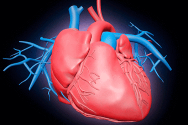 திடீரென்று பலியான அர்ஜூன் பட இயக்குனர்! உயிரை பறித்தது எது? எச்சரிக்கை... அலட்சியம் வேண்டாம்! | Senkottai Movie Director Cv Sasikumar Pass Away