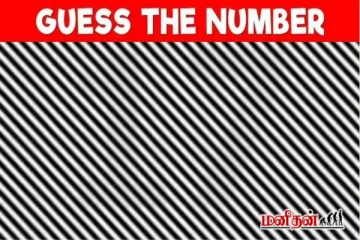 Optical illusion: கண்களை சுருக்கி பார்த்தால் இதில் மறைந்து இருக்கும் இலக்கம் என்ன?