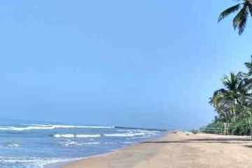 இலங்கைக்கு வந்த சீன பெண் மாயம்