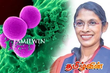 இலங்கையில் பெரும் அச்சுறுத்தலாக மாறியுள்ள நோய்! சுகாதார பிரிவு வெளியிட்டுள்ள தகவல்