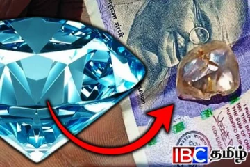 விவசாய நிலத்தில் வைரம்: ஒரே நாளில் லட்சாதிபதியான விவசாயி