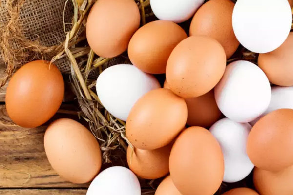 முட்டைக்காக அழைப்பு விடுத்த அமைச்சர் | The Minister Called For Eggs