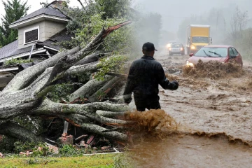 அமெரிக்காவை சூறையாடும் ஹெலன் சூறாவளி - 43 பேர் பலி