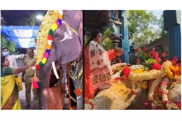 யானை லட்சுமியின் இழப்பை ஏற்றுக்கொள்ள முடியவில்லை - ஆளுநர் தமிழிசை சௌந்தரராஜன்