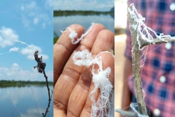 வானத்தில் இருந்து விழும் விசித்திர பொருள்: பதற்றத்தில் மக்கள்