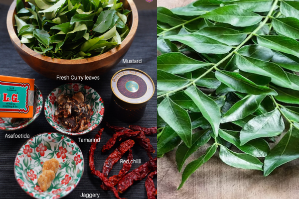 சூடான சாதத்துடன் கறிவேப்பிலை தொக்கு - இப்படி செய்து கொடுங்க | Curry Leave Karuveppilai Thokku Recipe In Tamil