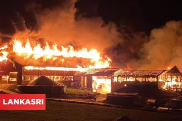 சுவிஸில் எரிந்து மொத்தமாக சேதமான பண்ணை: விவசாயி மீது குற்றவியல் நடவடிக்கை கோரிய Peta