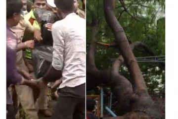 சென்னை தலைமைச் செயலகத்தில் மரம் வேரோடு சாய்ந்து விழுந்ததில் பெண் காவலர் மரணம்