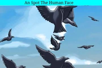 Optical illusion: பறவைகளில் மறைந்திருக்கும் மனித முகம் எங்கே?