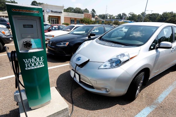 மின்சார வாகன இறக்குமதி குறித்து வெளியாகிய அறிவிப்பு | Import Of Electric Vehicles