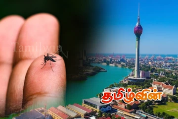 கொழும்பில் அதிகரித்து வரும் நோய்..!