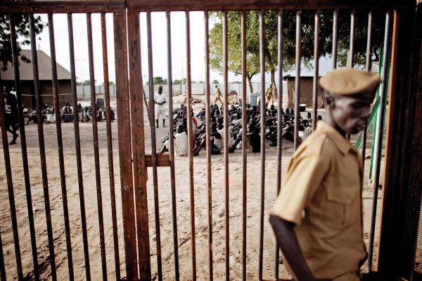 சூடானில் வாலிபரை முத்தமிட்ட இளம்பெண்ணுக்கு சிறைத் தண்டனை! | Young Woman Jailed For Kissing Teenager In Sudan