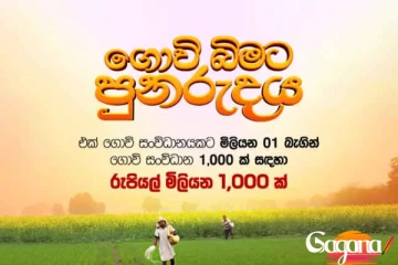 ගොවි බිමට පුනරුදය අද ඇරඹෙයි