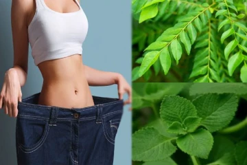 உடற்பயிற்சியே இல்லாமல் உடல் எடையை குறைக்க இந்த 2 இலைகள் போதும்: இப்படி எடுத்துக்கோங்க