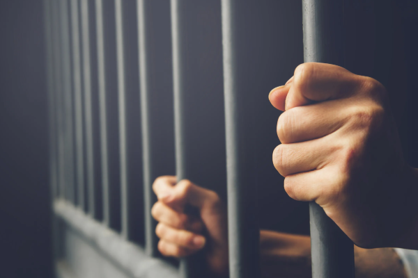 நாடுகடத்தப்பட்ட யாழ்ப்பாண நபர்கள் தொடர்பில் வெளியான தகவல் | Info Released On Deported Jaffna Persons