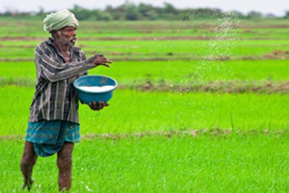 தரமற்ற உரம் விநியோகம்? ; ஆய்வில் தேசிய உர செயலகம் | Samples Controversial Mop Fertilizer To Be Tested