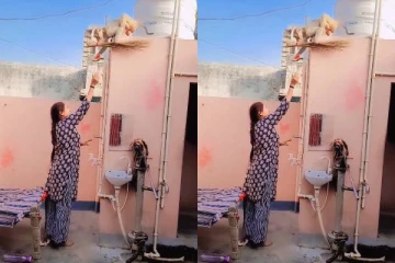 viral video: புத்திசாலியாகவும் நேர்மையாகவும் நடந்துக்கொள்ளும் குரங்கு... சுவாரஸ்யமான காட்சி