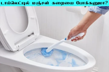 டாய்லெட்டில் மஞ்சள் கறையை சுலபமாக அகற்ற வேண்டுமா? இந்த ஒரு பொருள் போதும்