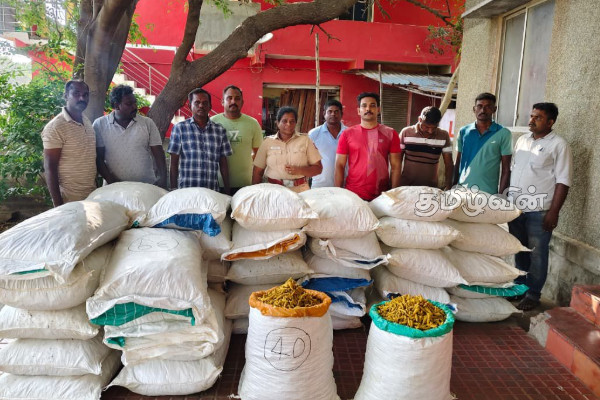 இலங்கைக்கு கடத்துவதற்காக பதுக்கி வைக்கப்பட்டிருந்த 1600 கிலோ மஞ்சள் பறிமுதல் | 1600 Kg Of Turmeric Smuggling To Sri Lanka Seized
